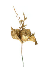 Traditional golden decorative branch isolated on white background
