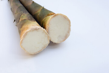 Fresh bamboo shoots white background.