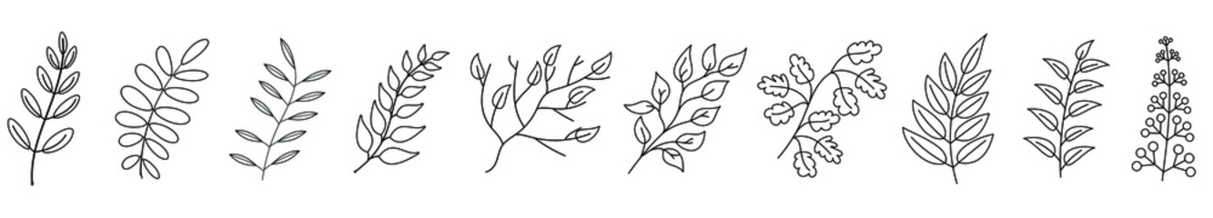 Autumn twigs. Black branches isolated. Set of linear autumn branches. Vector illustration.