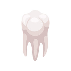 Tooth Isometric Icon