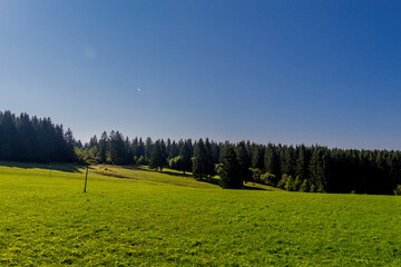 Schöner Spätsommer Spaziergang durch den Thüringer Wald - Steinbach-Hallenberg - Deutschland
