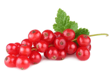 Currant berries isolated on white background