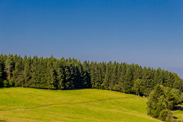 Schöner Spätsommer Spaziergang durch den Thüringer Wald - Steinbach-Hallenberg - Deutschland
