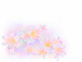 ピンクリコリスのフレーム（白背景）