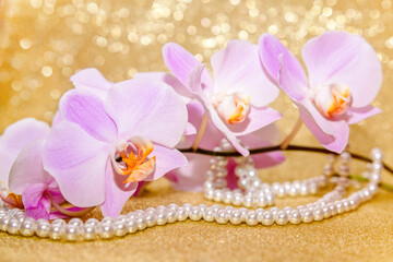 Plakat purple Orchid and pearl necklace on a shiny gold background 
