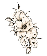 Hand drawn floral bouquet with various big and small flowers and leaves isolated on white background, warm ink drawing monochrome elegant flower composition in vintage style