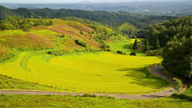 扇棚田「阿蘇外輪山を背景に日本の棚田百選・山吹水源」 ( 標高820mの山間) Ougi Rice Terraces "100 selections of rice terraces in Japan against the backdrop of Aso Sotowayama, Yamabuki Springhead" 日本2021年秋撮影 2021Japan (九州・熊本県阿蘇郡産山村)