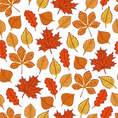 autumn leaves seamless pattern. Vector illustration for printing, backgrounds, wallpapers, covers, packaging, greeting cards, posters, stickers, textile, seasonal design. Isolated on white background.