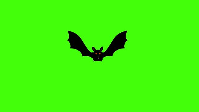 Bat bird flying, graphic source chroma key, halloween element