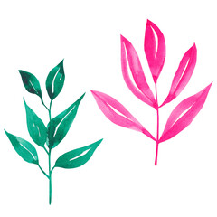 Watercolor hand-drawn Green and Pink Twig
