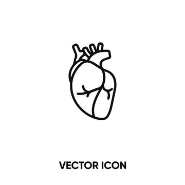 Heart vector icon. Modern, simple flat vector illustration for website or mobile app.Human heart symbol, logo illustration. Pixel perfect vector graphics	