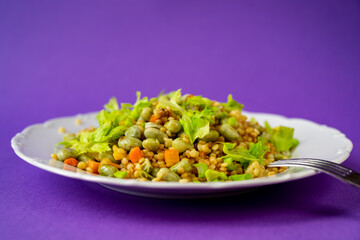 Broad bean, lentil, carrot and celery shoot on white plate with fork on purple background,