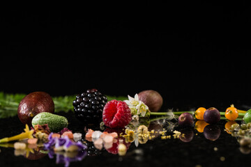 Botanical still life of organic herbs for skincare and naturopathy 