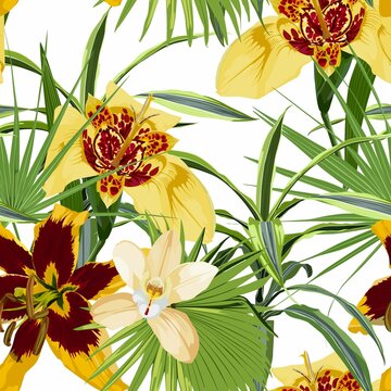 Seamless pattern with lilies tigridia flowers and tropical leaves. White background.