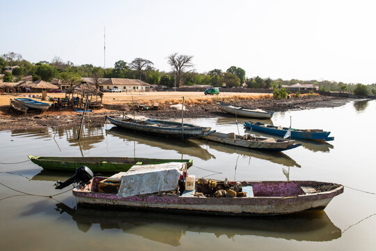 Wooden Fishing Pirogues on the River Gambia