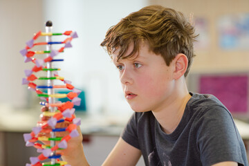 Curious boy examining DNA model