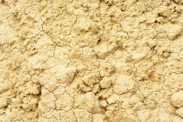 Dry yellow earth with cracks close up. The concept of global warming, cataclysms and drought.