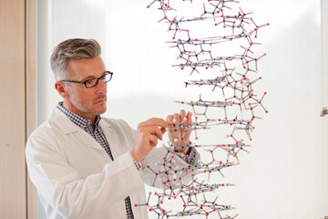 Serious male teacher examining hanging molecular structure