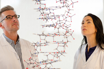 Serious scientists examining hanging molecular structure