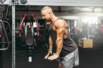 Muscular man working out in gym doing exercises,Exercise for triceps in the gym. strong male naked torso abs.Toned.