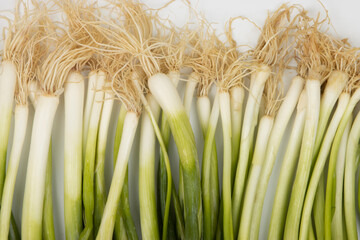 Spring Onion (Fresh Onion) Background