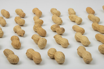 Peanut (Groundnut) Lined Up White Background 
