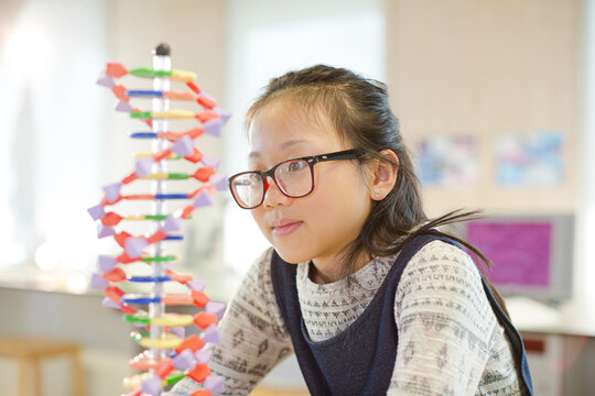 Pensive girl students examining DNA model in classroom laboratory - Powered by Adobe