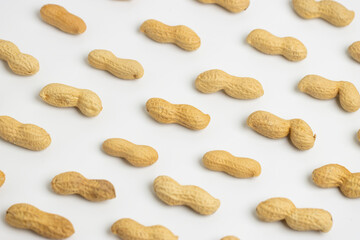 Peanut (Groundnut) Lined Up White Background 