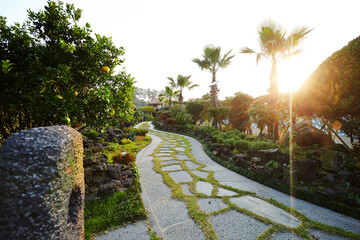 Obraz premium manicured garden landscape and house