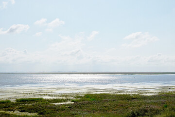 Fototapeta na wymiar Landscape of the Wadden Sea