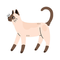 Siamese cute cat in flat cartoon style. Vector illustration isolated on white background.