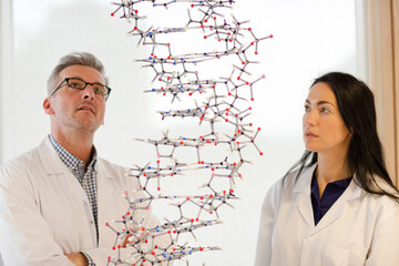 Serious scientists examining hanging molecular structure