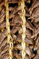 Dried fish on display in a traditional market 