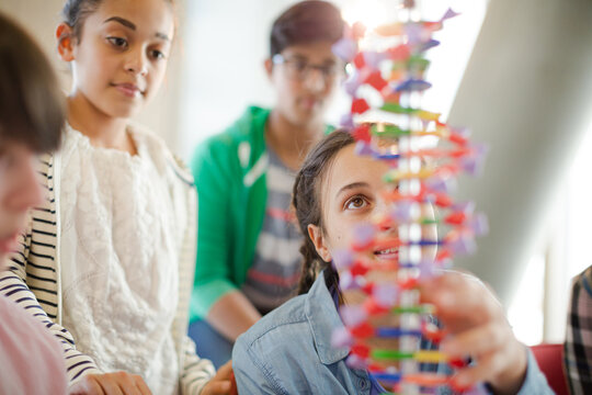 Students examining DNA model in classroom laboratory
