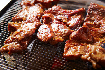 grilled meat on the grill