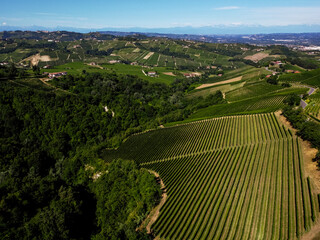 vineyards of nebbiolo in Langhe district, Piedmont, by a drone