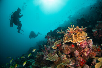 Scuba divers enjoying a vibrant and colorful coral reef in deep blue ocean