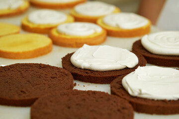 Homemade Fresh Cream Cake Making