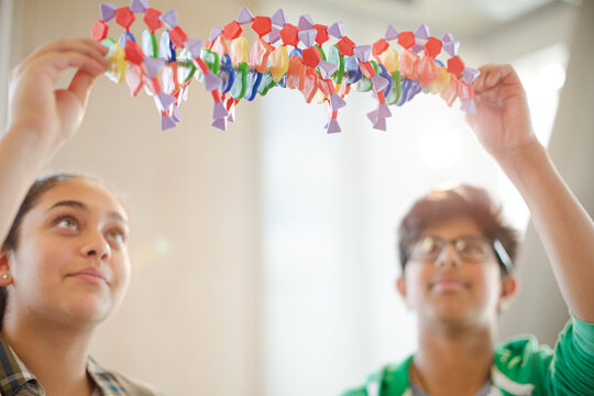 Students examining DNA model in classroom laboratory - Powered by Adobe