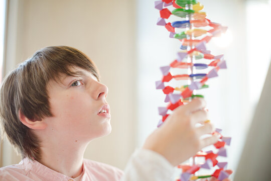 Boy student examining DNA model in classroom