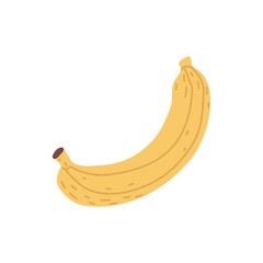 Whole banana with yellow skin. Fresh ripe tropical fruit with peel. Exotic sweet banan drawn in simple doodle style. Flat vector illustration isolated on white background