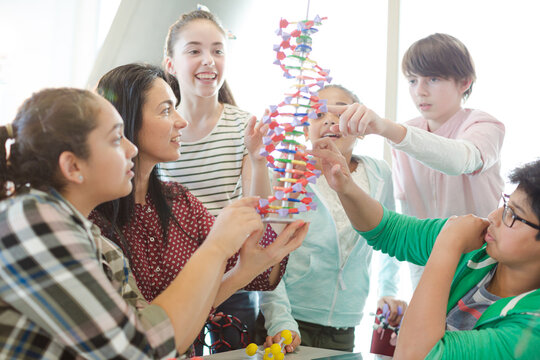 Female teacher and students examining DNA model in classroom