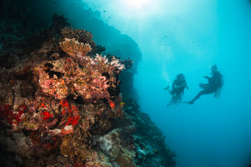Scuba divers swimming over colorful coral reef ecosystem and mesmerized by the beauty of the underwater world