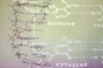 Molecular structure in front of data on projection screen in classroom