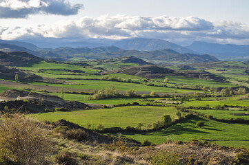 Obraz premium prado pirineos