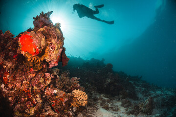 Plakat Underwater image of scuba diver among colorful coral reef in beautiful clear blue ocean