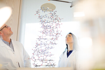 Serious scientists examining hanging molecular structure