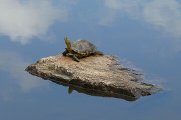 天空の亀の様な風景。