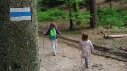 Fototapeta na wymiar Two Young Girls Walking in Forest on Hiking Trail 