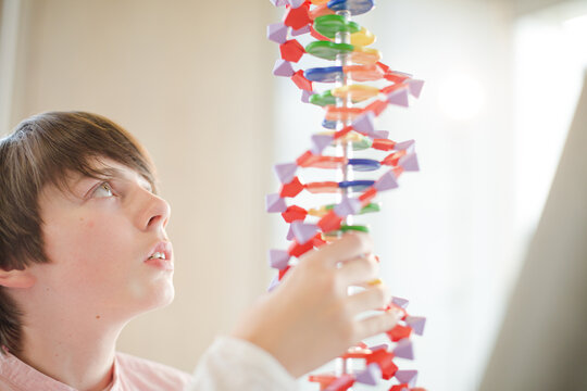 Boy student examining DNA model in classroom